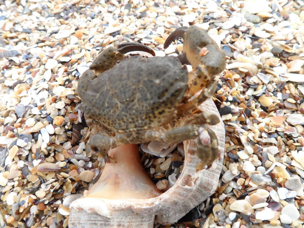 Vilele Brise de Mer Două Mai Extérieur photo